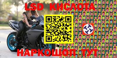 прущие грибы Можайск
