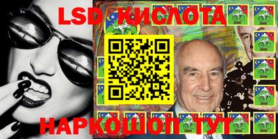 прущие грибы Можайск
