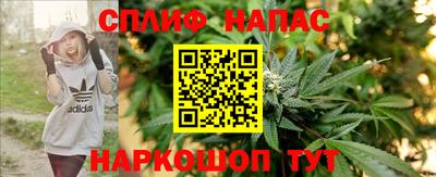 тгк Можга