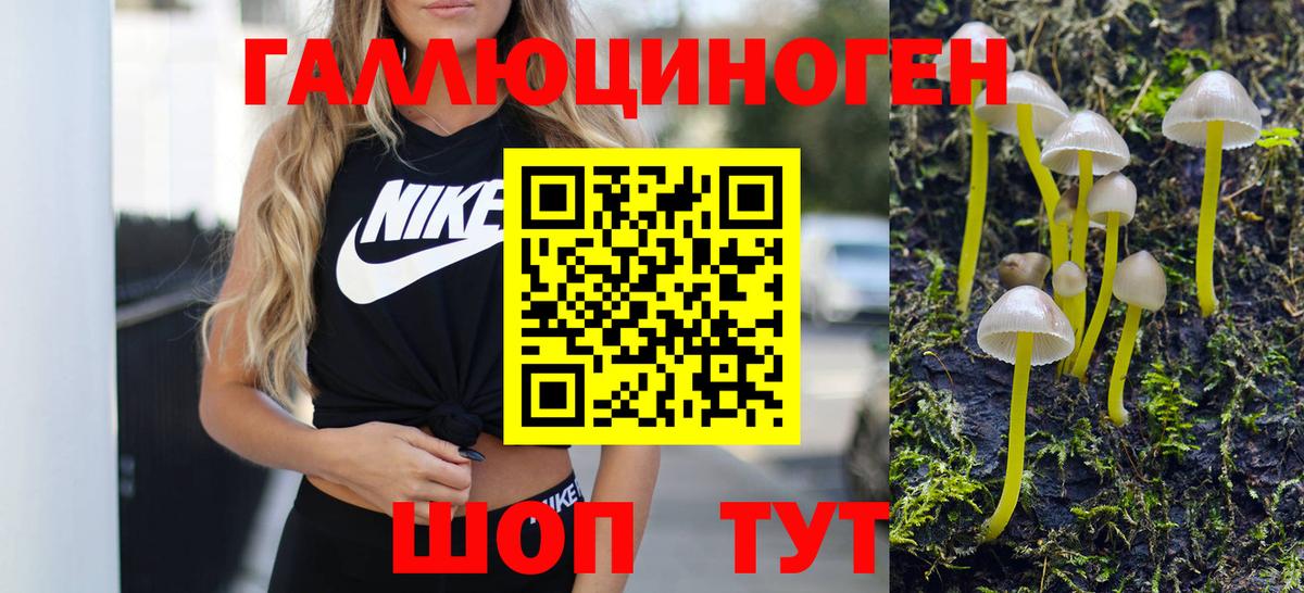 Черняховск  Псилоцибиновые грибы мухоморы  Вход с VPN 