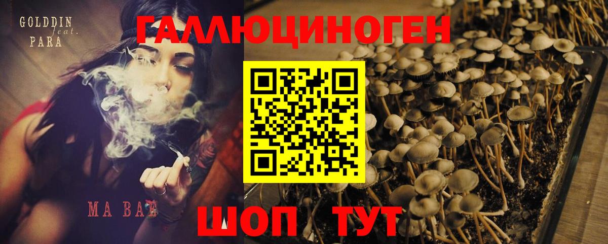 Галлюциногенные грибы MAGIC MUSHROOMS Черняховск